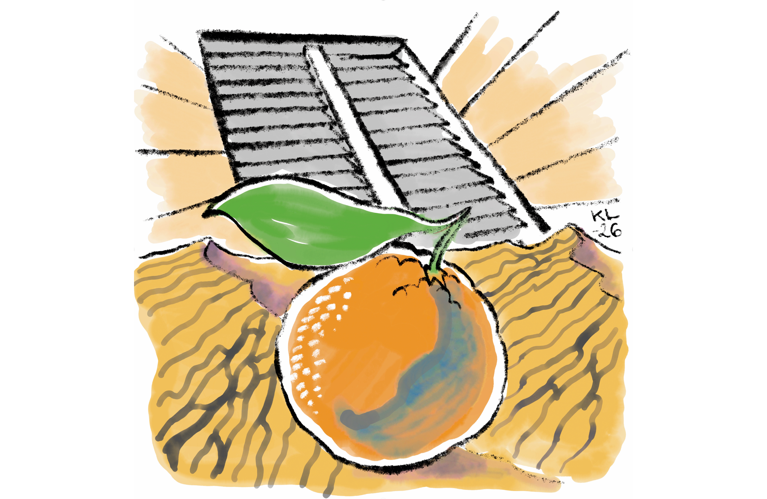 Näin syntyi: Appelsiinipuita aavikkoon