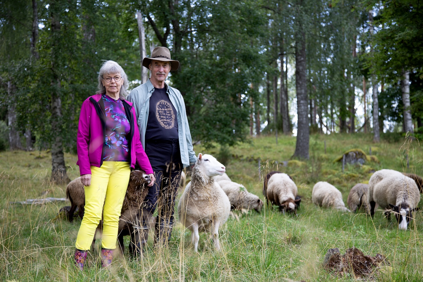 Marja ja Tapio Mattlar – Luovuutta ja lampaita